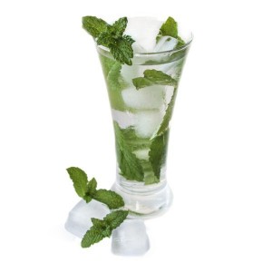 Gout Menthe glaciale