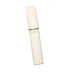 Ecigarette Jetable Evoque Goût Menthol