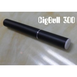 Cigarette Electronique souple jetable 300