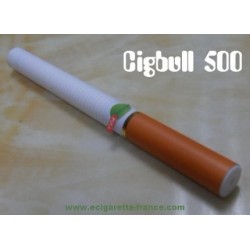 Cigarette électronique souple jetable 500