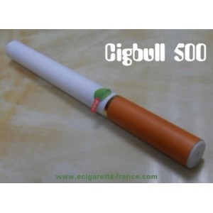 Cigarette &eacute;lectronique souple jetable 500
