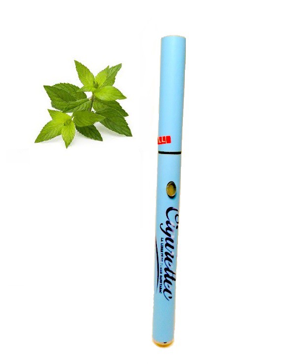 Ecigarette jetable saveur Menthe 500 bouffes