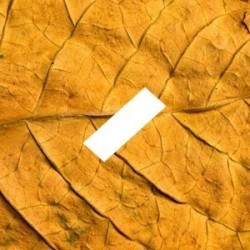 Saveur tabac Fr original