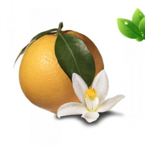 Saveur fleur d'Oranger