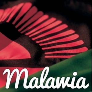 Malawia saveur tabac brun