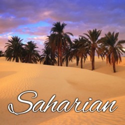 Saharian tabac blond gourmand