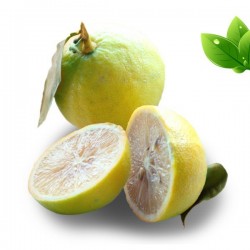 Saveur Bergamote